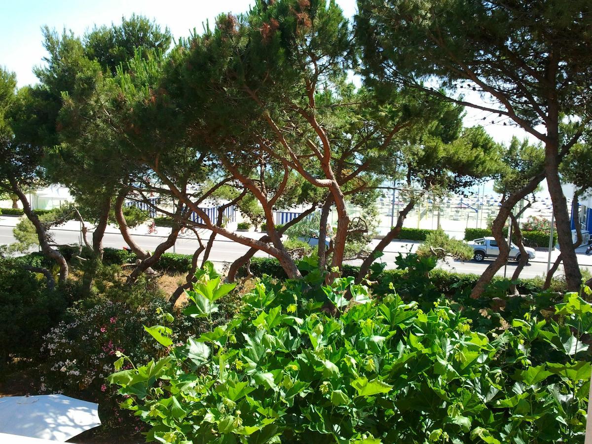 Il Parco Dei Pini Bed & Breakfast Giulianova