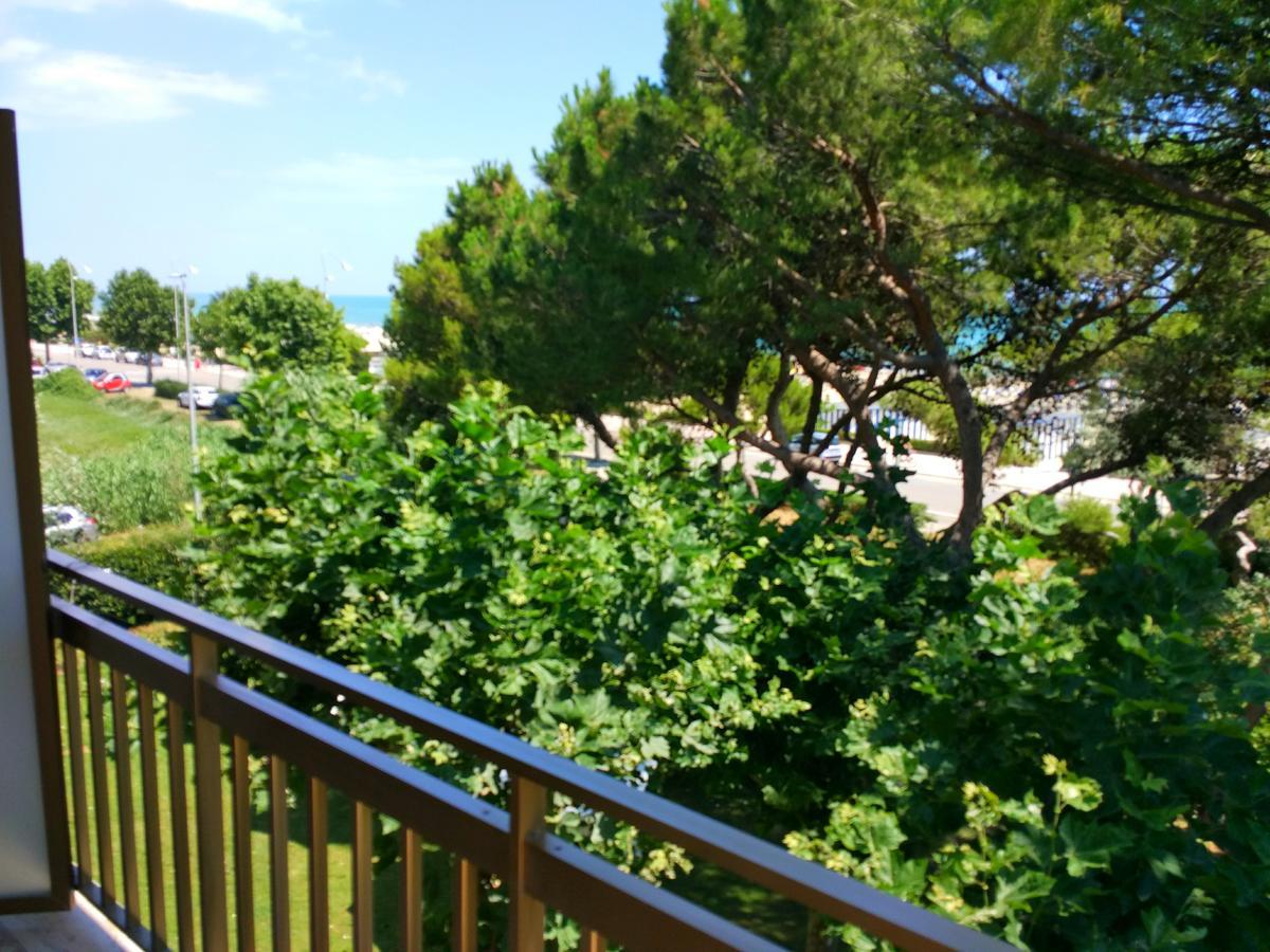 Il Parco Dei Pini Giulianova